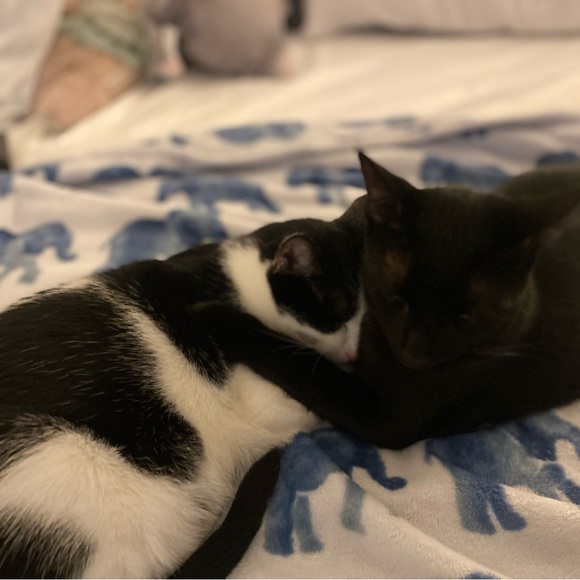 Meet your Posher, Rebecca - Picture 5 of 8